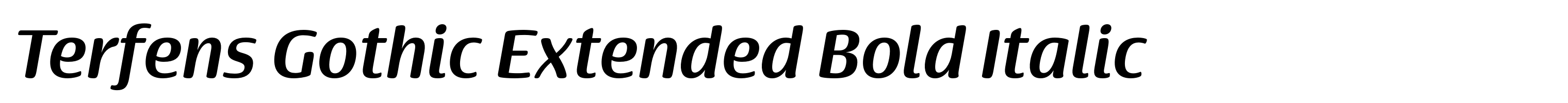 Terfens Gothic Extended Bold Italic